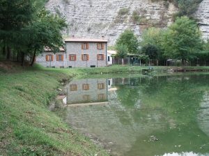 IMGP1022