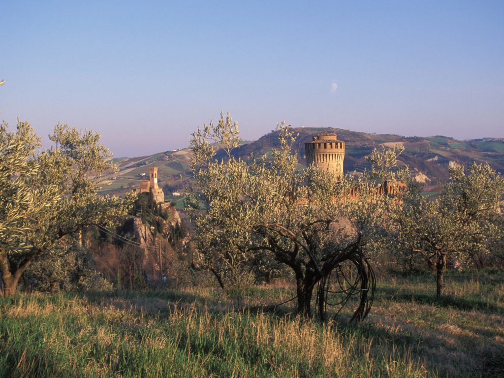 sagra della porchetta brisighella