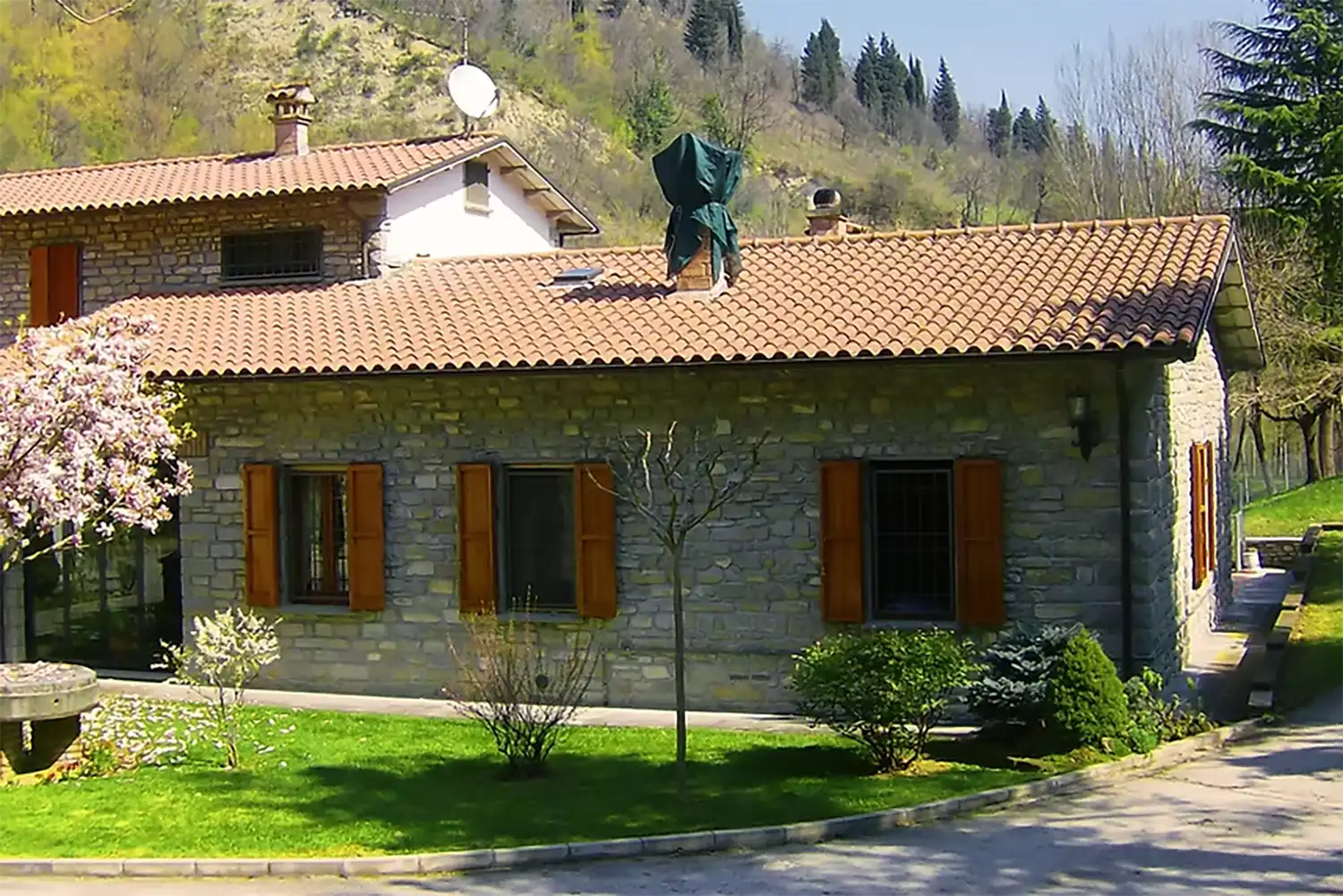 mulinoseufemia_bb_001