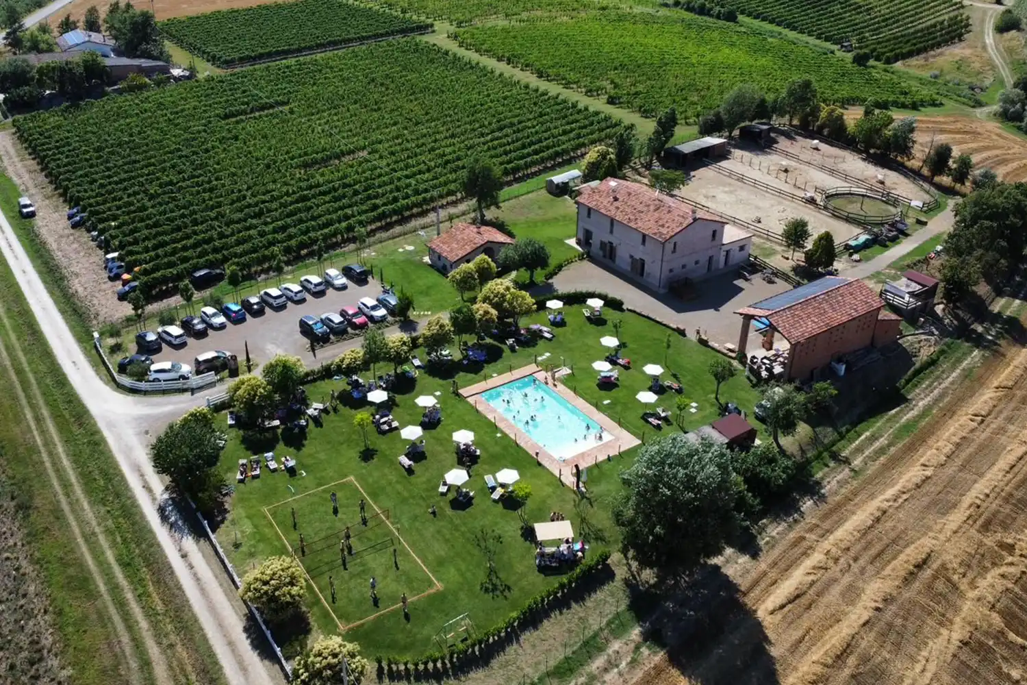 castagneto_aziendaagricola_001