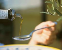 Sagra dell’Ulivo e dell’Olio, sabato 25 e domenica 26 novembre 2023 a Brisighella