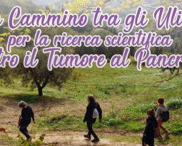 In Cammino tra gli Ulivi per la ricerca scientifica contro il Tumore al Pancreas