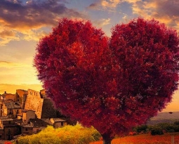 Brisighella Romantica 2023